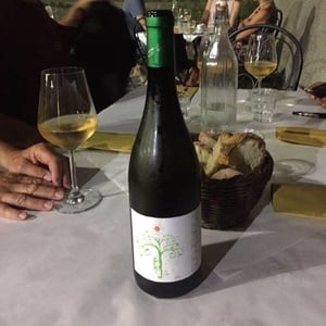 Eughenos 2016