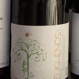 Eughenos (bianco) - Azienda Agricola Di Cato - mariapaola-di-cato