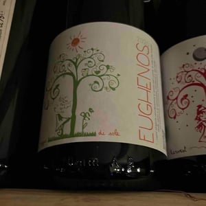 Eughenos (bianco) - Azienda Agricola Di Cato - mariapaola-di-cato