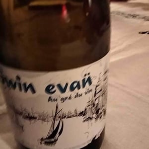 Gwin Evan - Le Haut Planty - alain-christian-couillaud