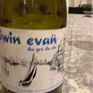 Le Haut Planty - Alain & Christian Couillaud - Gwin Evan