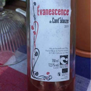 Evanescence 2019