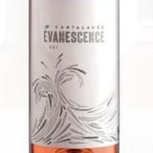 Evanescence - Domaine de Cantalauze - pierre-olivier-pauline-laurent -2018