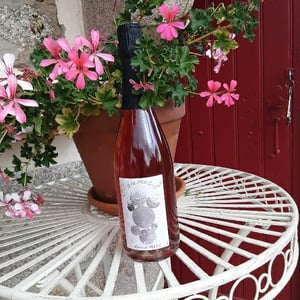 Cuvée Evanescente Rosé - Vignoble des Vernusses - loren-petit