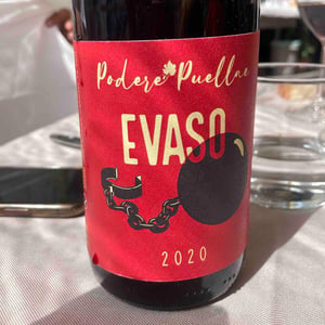 Evaso - Podere Puellae - luca -2020