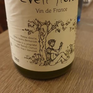 Eveil Floral - Benoit Camus - Benoit Camus -2019