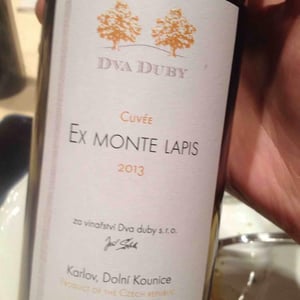Ex Monte Lapis - Dva Duby - Jiri Sebela 