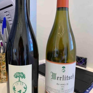 Ex Vero II - Weingut Werlitsch - ewald-brigitte-tscheppe