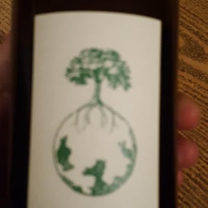 Ex Vero II - Weingut Werlitsch - ewald-brigitte-tscheppe