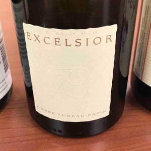 Excelsior - Domaine Pierre Luneau-Papin - pierre-marie-marie-luneau
