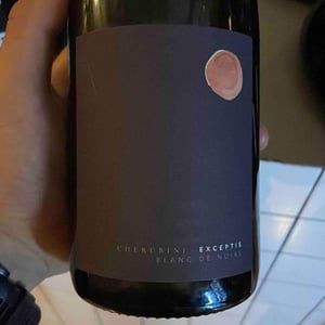 Exceptis - Brescia - Mattia Corbellini 