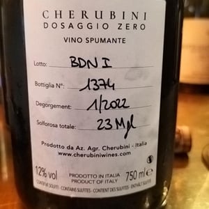 Exceptis - Brescia - Mattia Corbellini