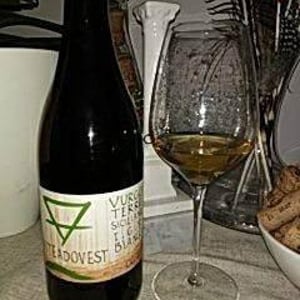 Vurgo - Viteadovest - Vincenzo Angileri 