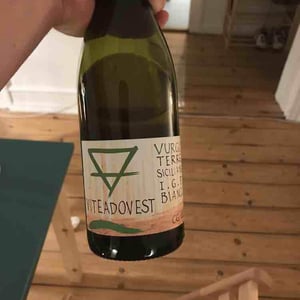 Vurgo - Viteadovest - vincenzo-angileri-qu