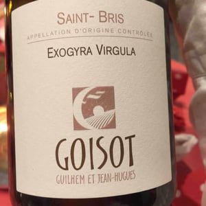 Exogyra Virgula - Domaine Goisot - guilhem-jean-hugues-goisot