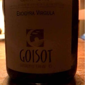 Exogyra Virgula - Domaine Goisot - guilhem-jean-hugues-goisot