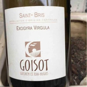 Exogyra Virgula - Domaine Goisot - guilhem-jean-hugues-goisot