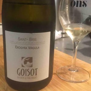 Exogyra Virgula - Domaine Goisot - guilhem-jean-hugues-goisot