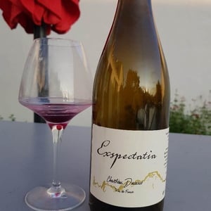 Exspectatia - Christian Ducroux - christian-ducroux