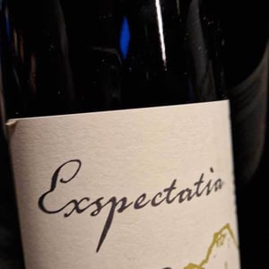 Exspectatia - Christian Ducroux - christian-ducroux