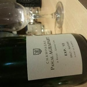 Expérience 07 - Champagne Agrapart & Fils - nathalie-pascal-agrapart