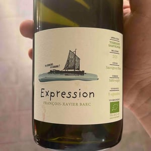 Expression - Touraine Sauvignon - francois-xavier-barc -2021