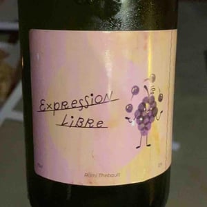 Expression Libre - Rémi Thebault - Rémi Thebault 