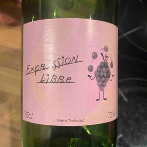 Expression Libre - Rémi Thebault - Rémi Thebault 