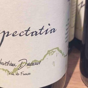 Exspectatia - Christian Ducroux - christian-ducroux