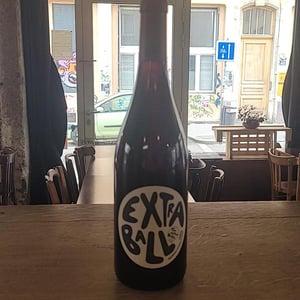 Extraball - Domaine Grosbois - sylvain-nicolas-grosbois