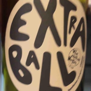 Extraball - Domaine Grosbois - Sylvain & Nicolas Grosbois 