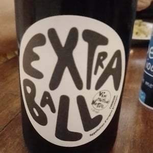 Extraball - Domaine Grosbois - Sylvain & Nicolas Grosbois 