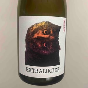 Extralucide - Hameau D’Escagnes - saharnaz-ahangi-et-gauthier-ollivier -2022
