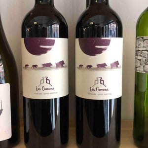 Estrem - Los Comuns - jordi-escoda-agusti-perello