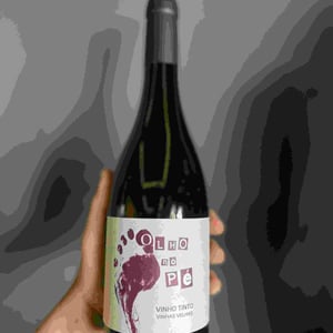 Olho No Pé Pinot Noir - Folias de Baco - Tiago Sampaio 