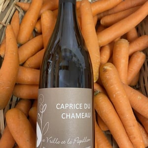 Caprice du Chameau - La Vrille et le Papillon - geraldine-meryl-croizier