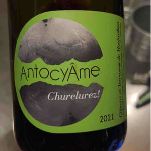 Mamuz - AntocyÂme - Muriel Zoldan 