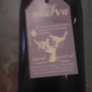 Luz - Bodegas Garay - mario-garay-ana-gonzalez