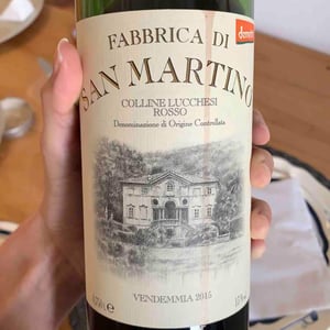 Fabbrica di San Martino Rosso - Fabbrica di San Martino - Giuseppe Ferrua 