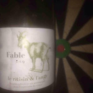 Fable 2009