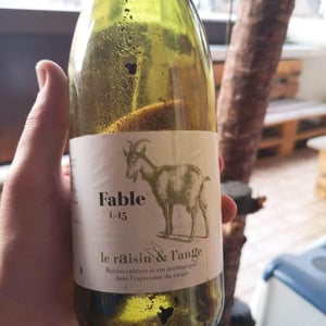 Fable 2015