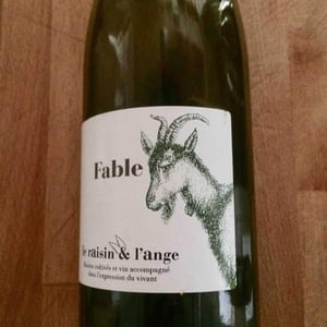 Fable - Le Raisin et l'Ange - gilles-antonin-azzoni