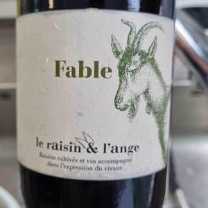 Le Raisin et l'Ange - Gilles & Antonin Azzoni - Fable