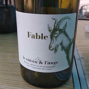 Le Raisin et l'Ange - Gilles & Antonin Azzoni - Fable
