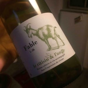 Fable - Le Raisin et l'Ange - Gilles & Antonin Azzoni 