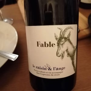 Le Raisin et l'Ange - Gilles & Antonin Azzoni - Fable