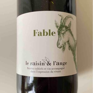 Le Raisin et l'Ange - Gilles & Antonin Azzoni - Fable