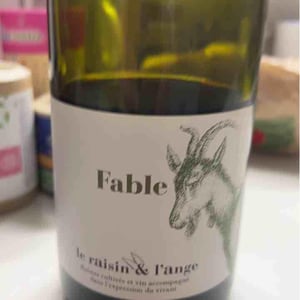 Le Raisin et l'Ange - Gilles & Antonin Azzoni - Fable