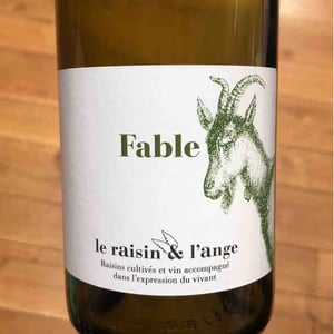 Le Raisin et l'Ange - Gilles & Antonin Azzoni - Fable