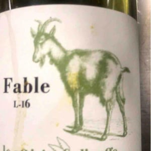 Le Raisin et l'Ange - Gilles & Antonin Azzoni - Fable